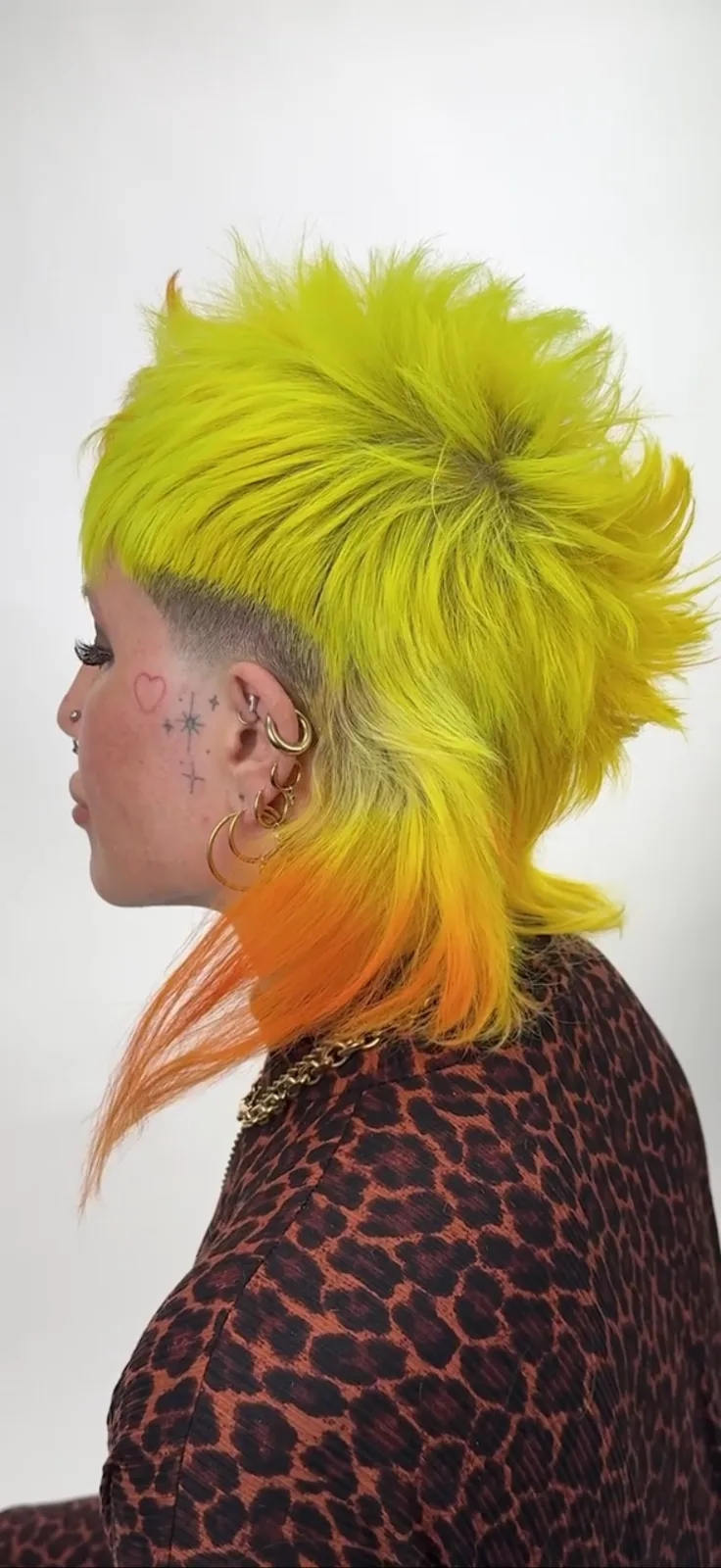 Creative Contoured Mullet